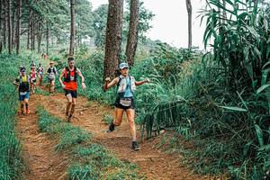 BIB: 
                            <button type="button" onclick="openModal(25660666)" class="btn btn-primary btn-sm float-right btn-popup" data-toggle="modal" data-target=".modal-high-quality">
                        <i class="fas fa-shopping-cart"></i> Add to Cart
                    </button>
                                            <button type="button" onclick="isThisMe(25660666, true)" class="btn btn-success btn-sm float-right btn-popup btn-isme hidden" data-toggle="tooltip" data-placement="bottom" title="นี่คือรูปของคุณใช่ไหม คลิกที่นี่เพื่อเอาเข้าอัลบั้ม">
                        <i class="fas fa-plus"></i> Add to album
                    </button>
                    <button type="button" onclick="isThisMe(25660666, false)" class="btn btn-warning btn-sm float-right btn-popup btn-isnotme hidden">
                        <i class="fas fa-ban"></i> Remove from album
                    </button>